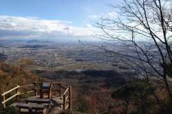 森林空間散策路・絆の森