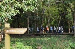 森林空間散策路・山道