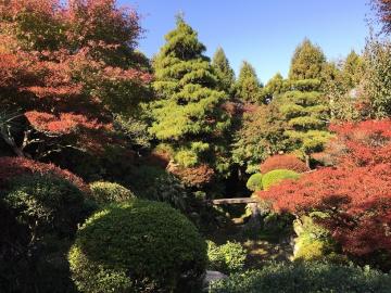 北岡田家住宅庭園　秋の紅葉