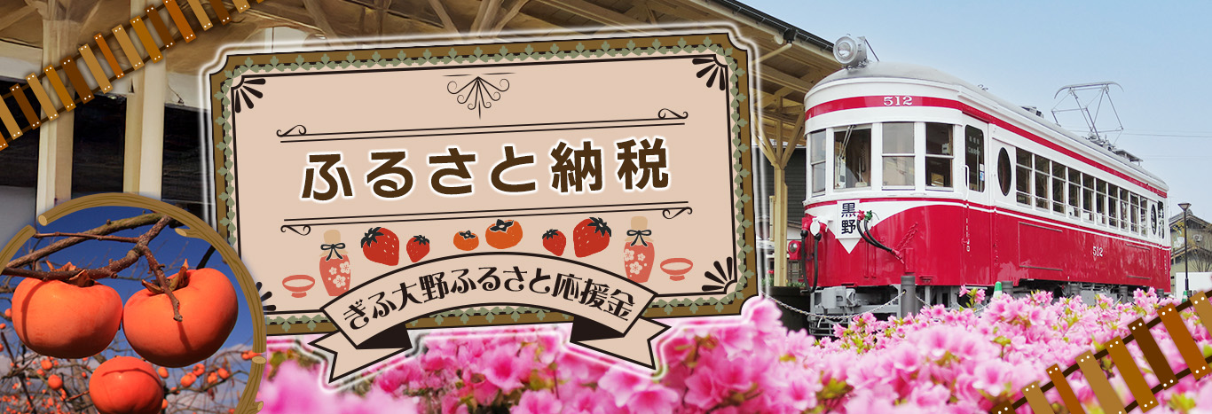 大野町ふるさと納税ふるさとチョイス