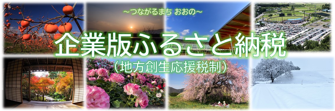 企業版ふるさと納税